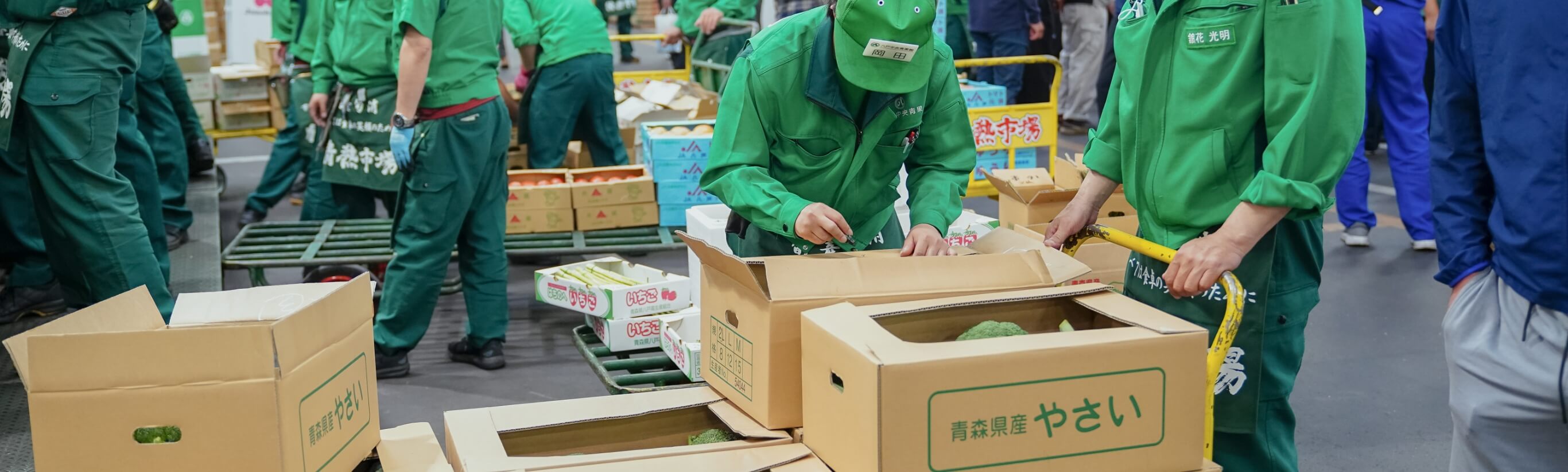 事業紹介・市場の様子