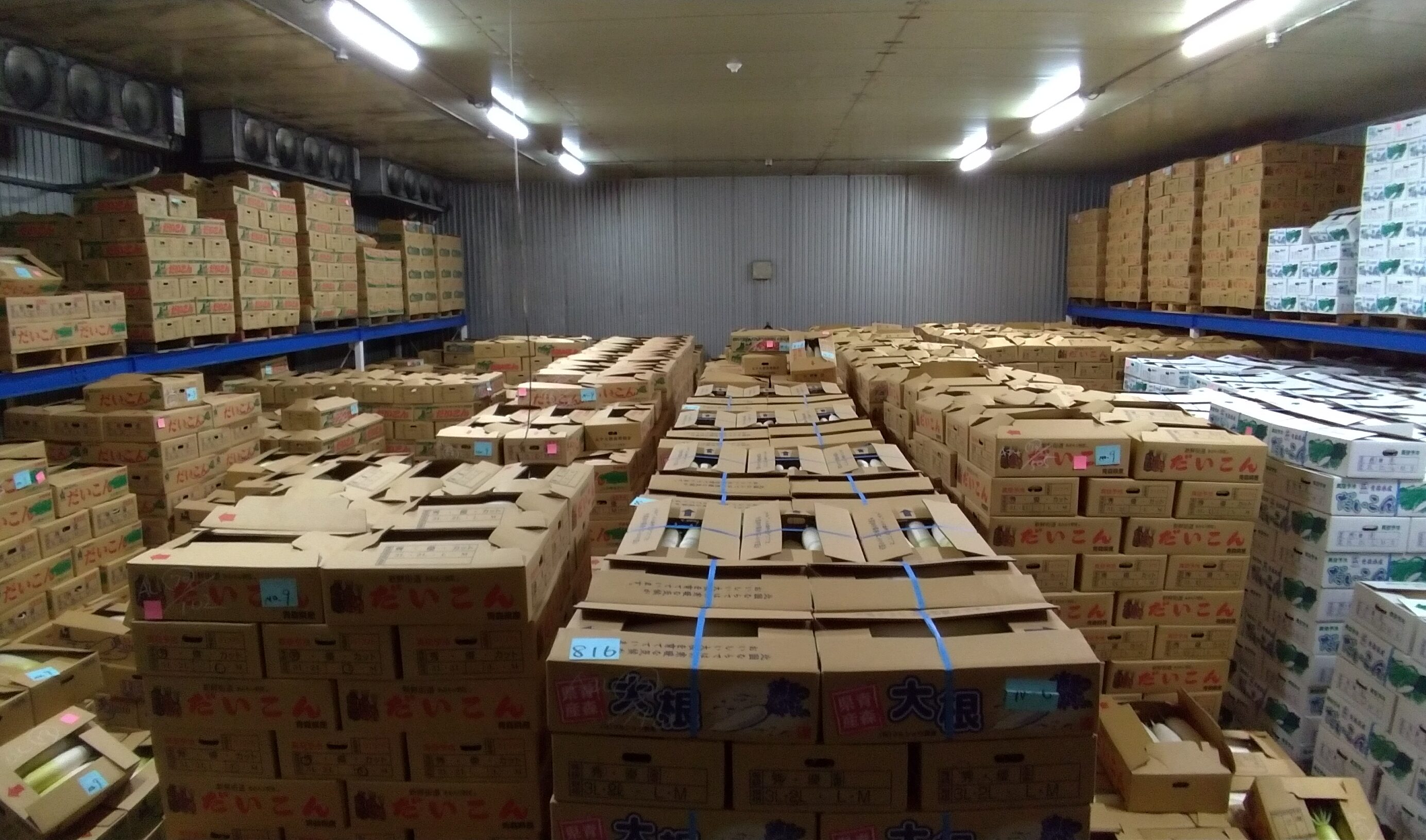 八戸青果センター　冷蔵室