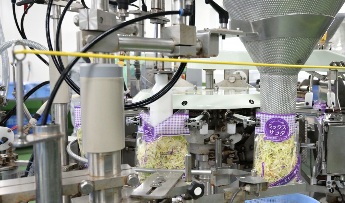 野菜加工施設　包装機